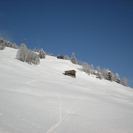 Landhaus Staudacher Gerlos Exteriör bild